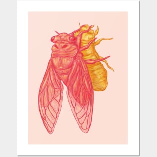 Pink Cicada Posters and Art